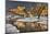 Zion in winter.-John Ford-Mounted Photographic Print