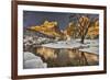 Zion in winter.-John Ford-Framed Photographic Print