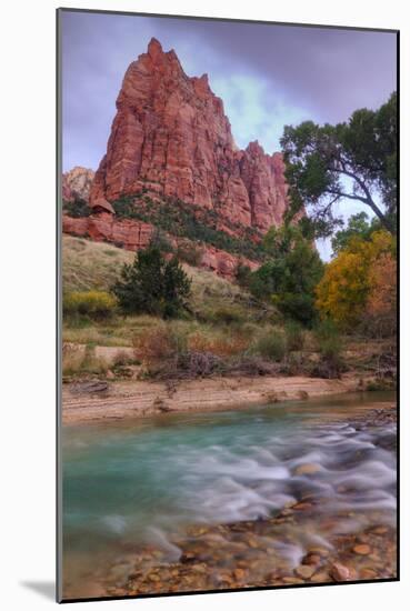 Zion Morning Riverside-Vincent James-Mounted Photographic Print