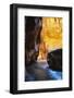 Zion Narrows, Zion National Park, Utah-Zandria Muench Beraldo-Framed Photographic Print