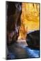 Zion Narrows, Zion National Park, Utah-Zandria Muench Beraldo-Mounted Photographic Print