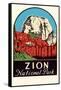 Zion National Park Decal-null-Framed Stretched Canvas