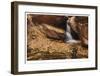 Zion National Park I-Donald Paulson-Framed Giclee Print