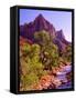 Zion National Park I-Ike Leahy-Framed Stretched Canvas