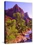 Zion National Park I-Ike Leahy-Stretched Canvas