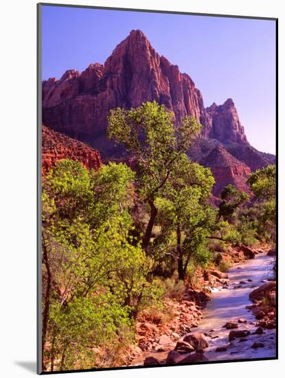 Zion National Park I-Ike Leahy-Mounted Photographic Print
