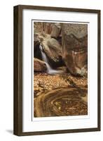 Zion National Park II-Donald Paulson-Framed Giclee Print