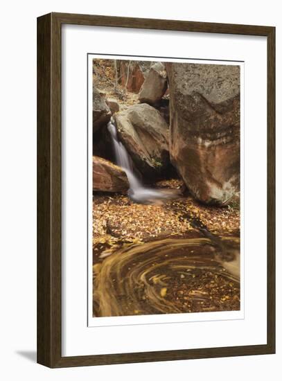 Zion National Park II-Donald Paulson-Framed Giclee Print