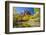 Zion National Park in Autumn-peteleclerc-Framed Photographic Print