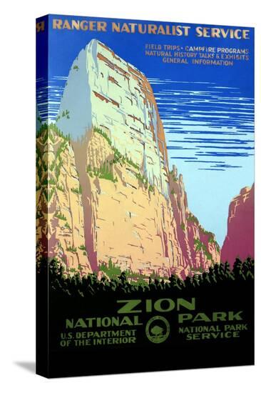 Stretched Canvas Print, , large