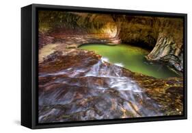 Zion National Park, Utah: The Famous Subway-Ian Shive-Framed Stretched Canvas