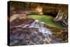 Zion National Park, Utah: The Famous Subway-Ian Shive-Stretched Canvas