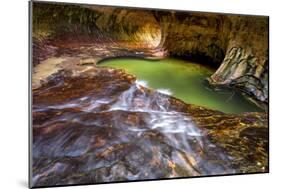 Zion National Park, Utah: The Famous Subway-Ian Shive-Mounted Photographic Print