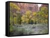 Zion National Park, Utah, United States of America, North America-Robert Harding-Framed Stretched Canvas