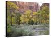 Zion National Park, Utah, United States of America, North America-Robert Harding-Stretched Canvas
