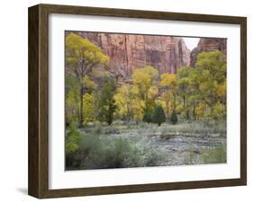 Zion National Park, Utah, United States of America, North America-Robert Harding-Framed Photographic Print