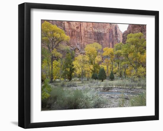 Zion National Park, Utah, United States of America, North America-Robert Harding-Framed Photographic Print