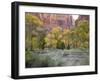Zion National Park, Utah, United States of America, North America-Robert Harding-Framed Photographic Print