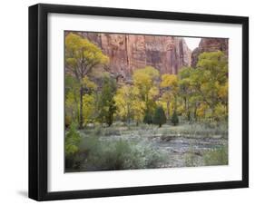 Zion National Park, Utah, United States of America, North America-Robert Harding-Framed Photographic Print