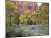 Zion National Park, Utah, United States of America, North America-Robert Harding-Mounted Photographic Print