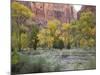 Zion National Park, Utah, United States of America, North America-Robert Harding-Mounted Photographic Print
