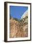 Zion National Park, Utah, United States of America, North America-Robert Harding-Framed Photographic Print