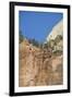 Zion National Park, Utah, United States of America, North America-Robert Harding-Framed Photographic Print