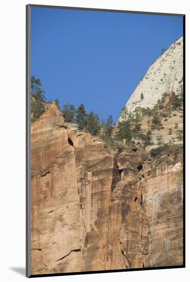 Zion National Park, Utah, United States of America, North America-Robert Harding-Mounted Photographic Print