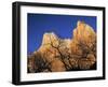 Zion National Park, Utah, USA-Walter Bibikow-Framed Photographic Print