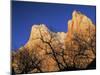 Zion National Park, Utah, USA-Walter Bibikow-Mounted Photographic Print