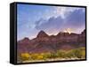 Zion National Park, Utah, USA-Cathy & Gordon Illg-Framed Stretched Canvas