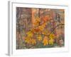 Zion National Park, Utah, USA-Cathy & Gordon Illg-Framed Photographic Print