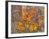 Zion National Park, Utah, USA-Cathy & Gordon Illg-Framed Photographic Print