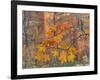 Zion National Park, Utah, USA-Cathy & Gordon Illg-Framed Photographic Print