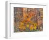 Zion National Park, Utah, USA-Cathy & Gordon Illg-Framed Photographic Print