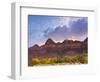 Zion National Park, Utah, USA-Cathy & Gordon Illg-Framed Photographic Print