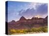 Zion National Park, Utah, USA-Cathy & Gordon Illg-Stretched Canvas