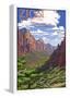 Zion National Park - Zion Canyon View-null-Framed Poster