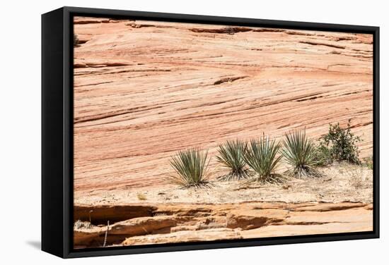 Zion National Park-PerseoMedusa-Framed Stretched Canvas