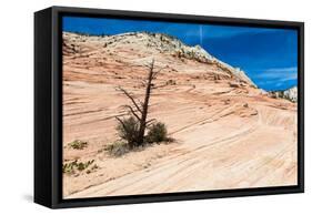 Zion National Park-PerseoMedusa-Framed Stretched Canvas