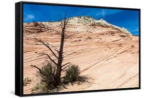 Zion National Park-PerseoMedusa-Framed Stretched Canvas