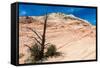 Zion National Park-PerseoMedusa-Framed Stretched Canvas