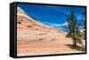 Zion National Park-PerseoMedusa-Framed Stretched Canvas