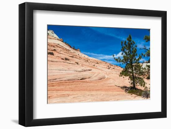 Zion National Park-PerseoMedusa-Framed Premium Photographic Print