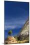 Zion National Park.-Jon Hicks-Mounted Photographic Print