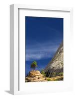 Zion National Park.-Jon Hicks-Framed Photographic Print