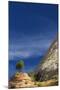 Zion National Park.-Jon Hicks-Mounted Photographic Print