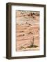 Zion National Park-PerseoMedusa-Framed Photographic Print