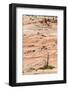 Zion National Park-PerseoMedusa-Framed Photographic Print