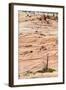 Zion National Park-PerseoMedusa-Framed Photographic Print